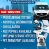 Animal transportation services available