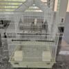 FINCHES NESTS, FEEDERS AND TWO CAGES