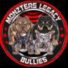 Bully lovers! Puppies! High quality from reputable breeder