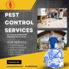 Say Goodbye to Pests with Our Expert Pest Control Service