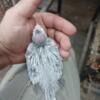 Baby  cockatiel  white face for sale