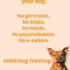 Dog Training: All breeds, all issues. Aggression and bite cases.