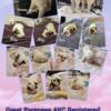 AKC Registered Great Pyrenees puppies  born 5/8/2024