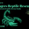 Non Profit Reptile Rescue/Rehome & Surrender