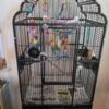 A&E Victorian Parrot Cage