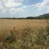 For Sale 9500 Sqm Investment Plot By Owner Near Sunny Beach Bulgaria