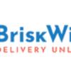 BriskWinit: Your Trusted Source for Contract Staffing Solutions!