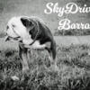 SkyDrives Barracuda Stud service only 1k intro rate!
