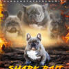 Shark Bait - Elevate your kennel with Heavy Grinch / Suess Blood