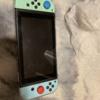 Animal Crossing Nintendo Switch (missing charger)