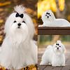 Maltese puppies for sale in Chicago