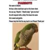 Missing parrot will give rewards
