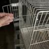 Breeding cages for finches canarys