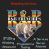 Dog Breeding services