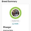 Female Bully Pup, Searching for PET Home, Parents Health Tested