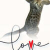 Tica Registered F5 Savannah Kittens Male/Female Jasmine Star/Peanutman litter available