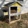 Rabbit with hutch and supplies (Harlequin)