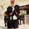 AKC Registered Black Labs Still Available