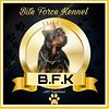 AKC Rottweiler puppies $1000
