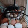 Fresh delicious eggs. Get yours today