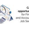 What are the career options in accounting?