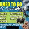 Dog training sign up today