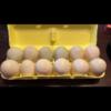 Hatching duck eggs available