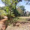 3 BEAUTIFUL LARGE LOTS FOR SALE, 2 OCEAN VIEW AND EACH OVER 1.25 ACRES EACH!