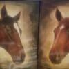 Horse paintings