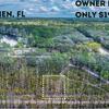 .22 acres - Interlachen FL - Your own slice of quiet in Florida’s lake country