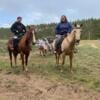 21 yr Registered Quarter Horse mare