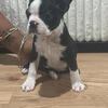 Xena