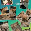 Looking fur lovin homes