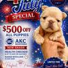 Grace❤️💙🤍-500$🇺🇸4th of July🇺🇸