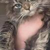 GORGEOUS DBE FEMALE text 740-979-9668