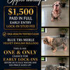 VELVET English Bulldog Stud Special