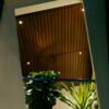 Transform Spaces with VOX India - Innovative False Ceiling Designs