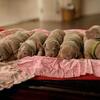 Xl Bully Pups