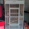 Parrot Cage in good condition