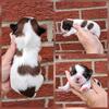 Shihtzu
