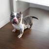 Female 2 yrs