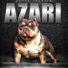 GrCh Azari Open for Stud