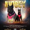European Doberman Studs