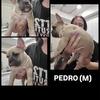 Help Us Find Our Forever Home