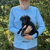 Beautiful Black Lab mix puppy - Ready anytime !