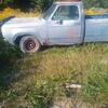 1977 D100 dodge ram
