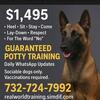 ✅ Off-Leash Dog Training – Real Obedience, Real Results! (Philadelphia)