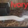 Ivory Ball Python 4 Sale