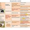 FOR STUD Gorgeous AKC collie blue merle