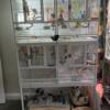 Nice bird cage for sale